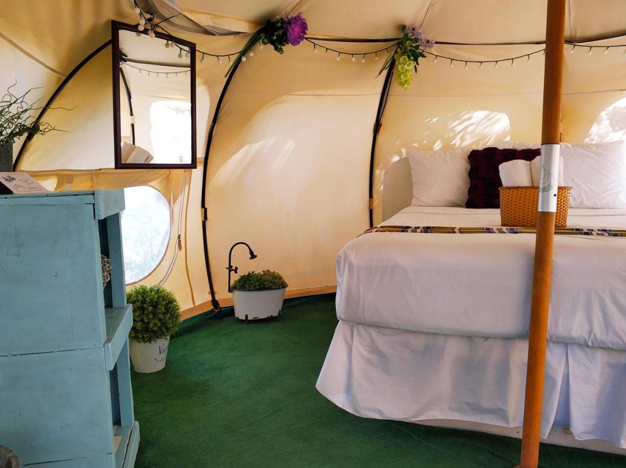 Harmony Glamping Boutique Hotel And Yoga Τουλούμ Εξωτερικό φωτογραφία